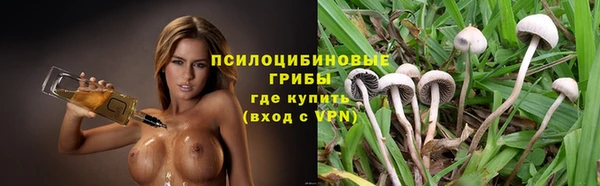 молекула духа Остров