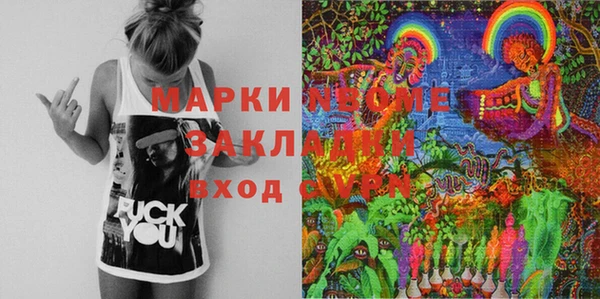 индика Осташков