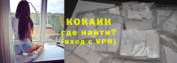 индика Нязепетровск