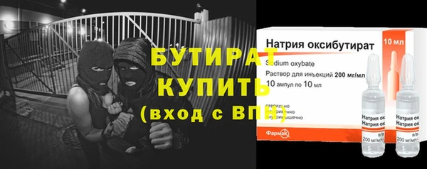 индика Осташков