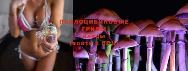 индика Осташков