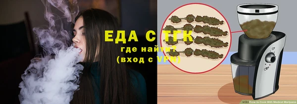 индика Осташков