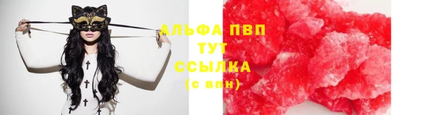 индика Осташков