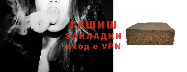 индика Осташков