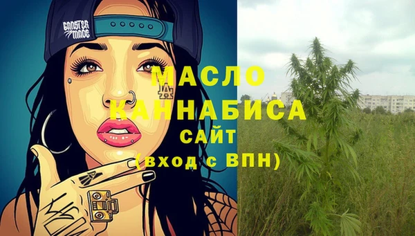 индика Осташков