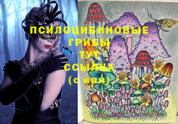 индика Осташков