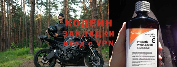 индика Осташков