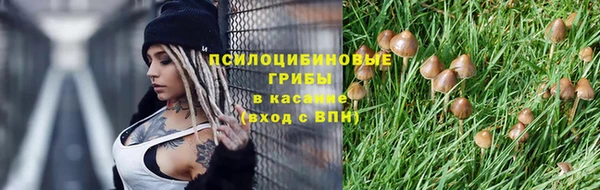 молекула духа Остров