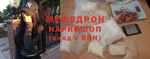 индика Осташков