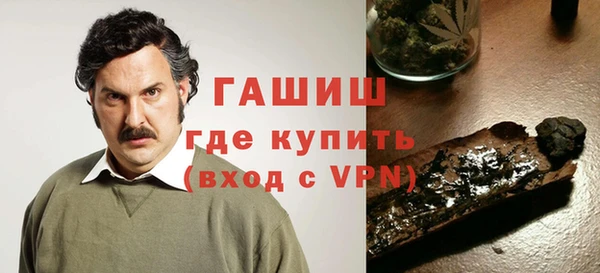 индика Осташков