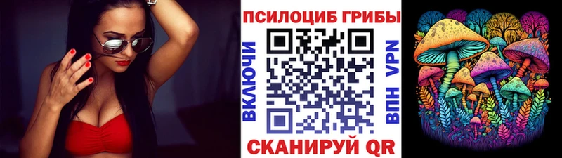 Псилоцибиновые грибы мицелий  цены наркотик  Ивантеевка 